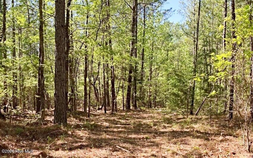 6630 Washington Road Appling, GA 30802 - Photo 2 of 4 Gallery Image 2