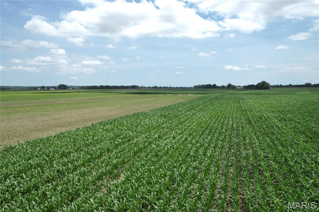 0 Fish Lake Road Prairie du Rocher, IL 62277 - Photo 11 of 15