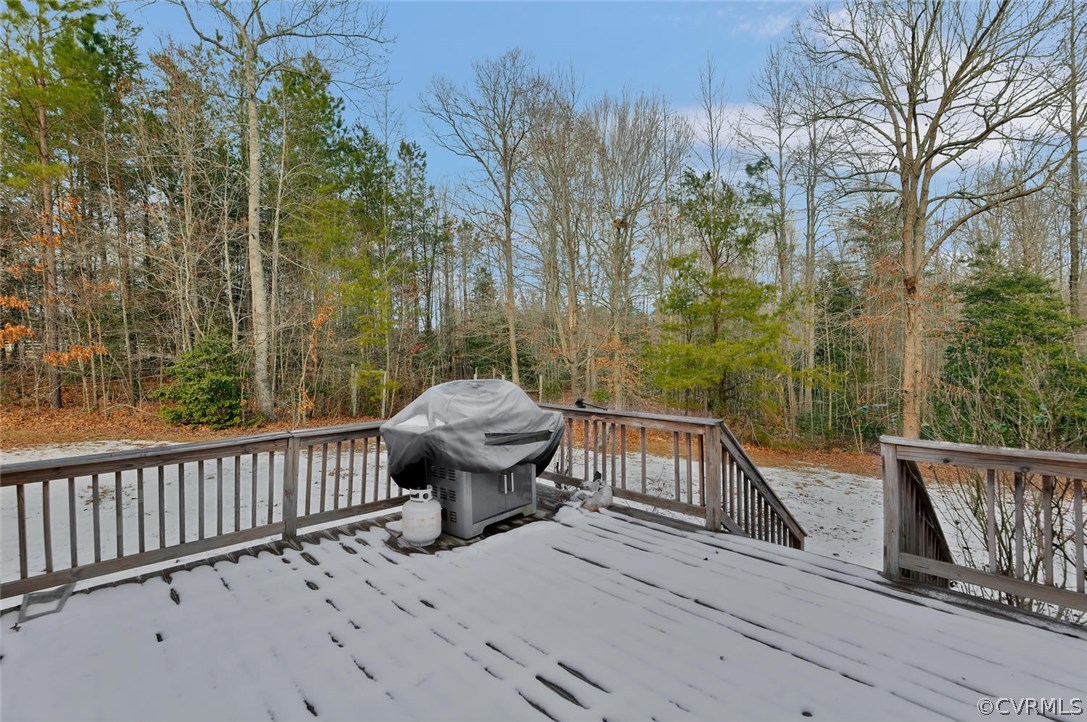 11900 Winterpock Road Chesterfield, VA 23838 - Photo 26 of 29 Gallery Image 26