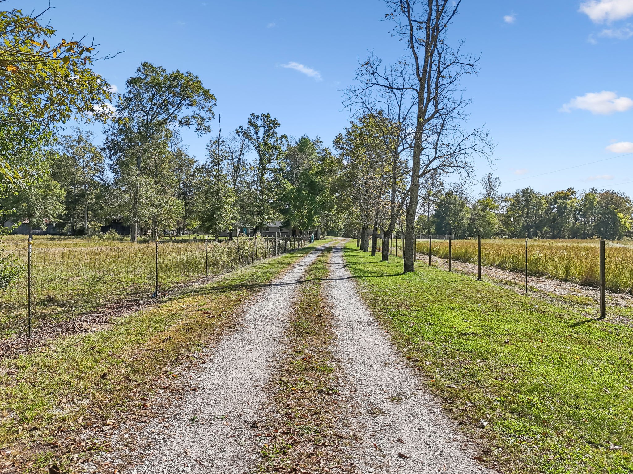3016 Pocahontas Road Morrison, TN 37357 - Photo 33 of 47 a view of a park