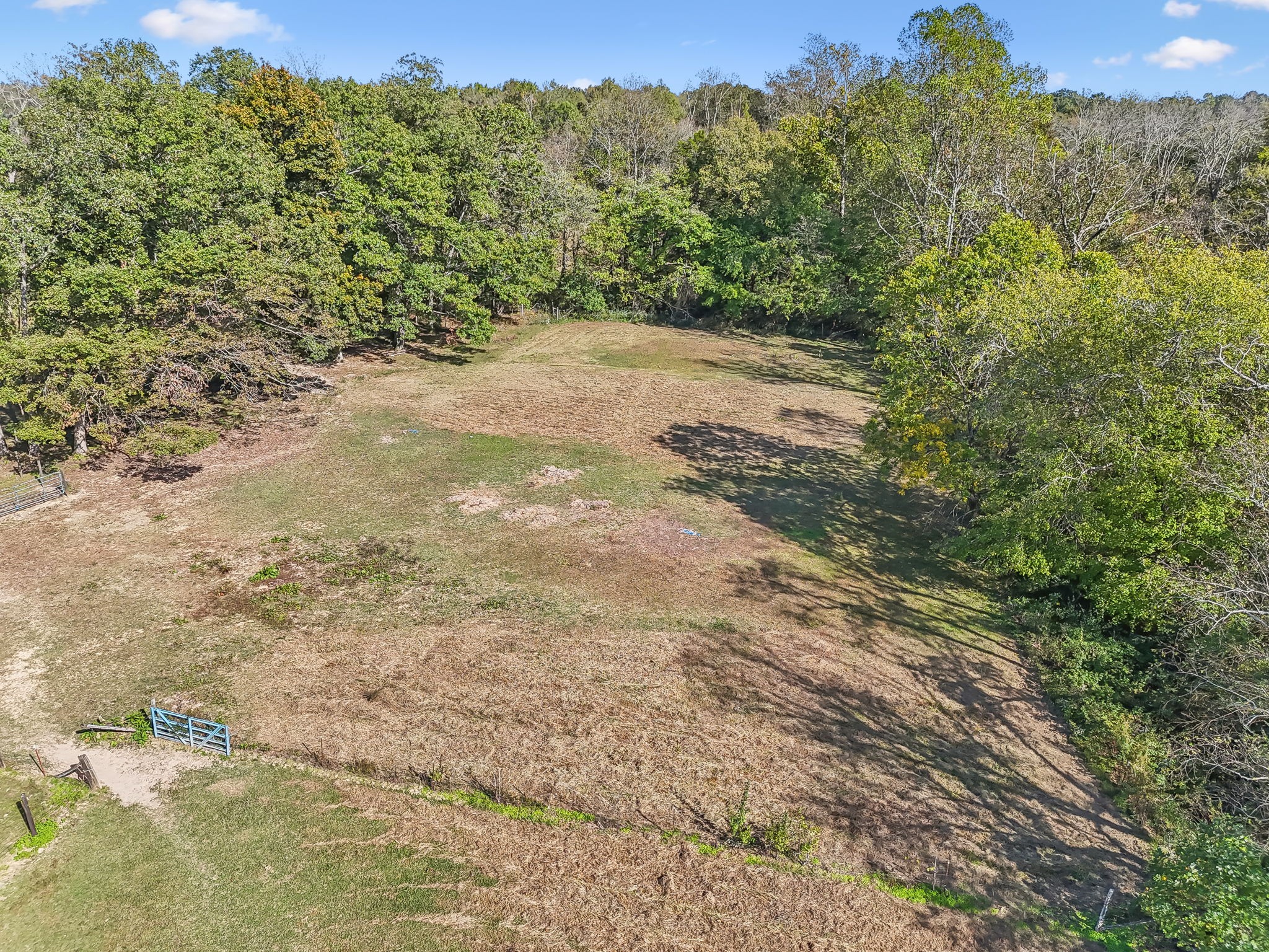 3016 Pocahontas Road Morrison, TN 37357 - Photo 45 of 47 a view of a yard with a tree