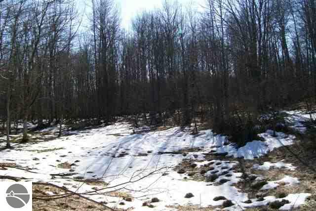 20-acres Off Vroman Road Wolverine, MI 49799 - Photo 4 of 13 1712927-3.JPG