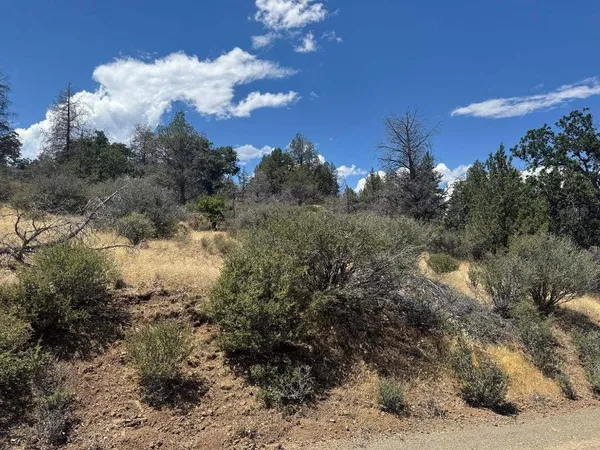 $8,888 | Unit 4-lot 711 Clark Road, Hornbrook, CA 96044