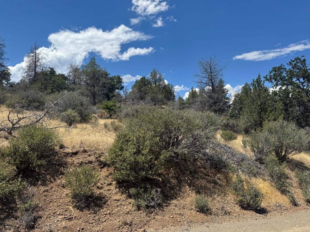 Unit 4-lot 711 Clark Road Hornbrook, CA 96044 - Photo 1 of 33 Gallery Image 1