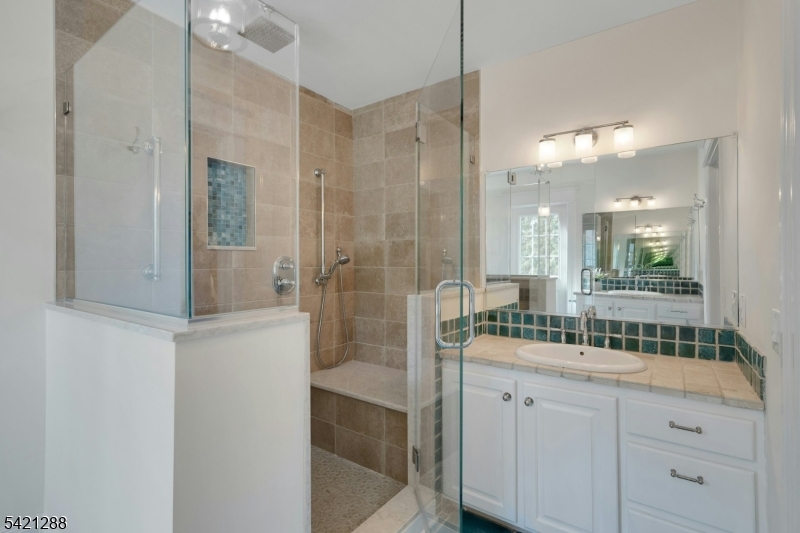 17 Briarcliff Road Mountain Lakes, NJ 07046 - Photo 29 of 50 a bathroom with a shower sink and mirror