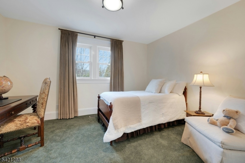 17 Briarcliff Road Mountain Lakes, NJ 07046 - Photo 32 of 50