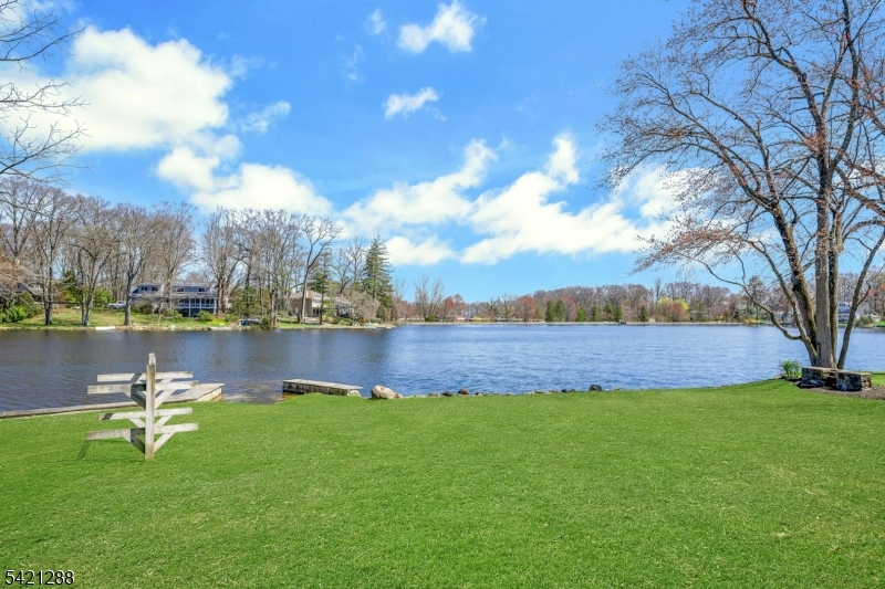 17 Briarcliff Road Mountain Lakes, NJ 07046 - Photo 45 of 50