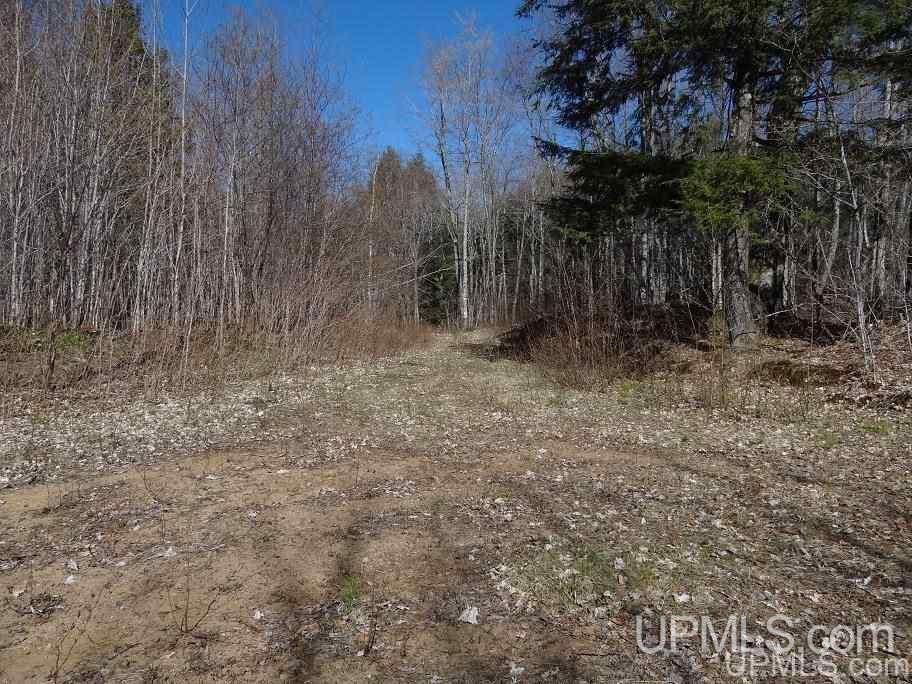 Tbd Off Ravine River Road Skanee, MI 49962 - Photo 13 of 20