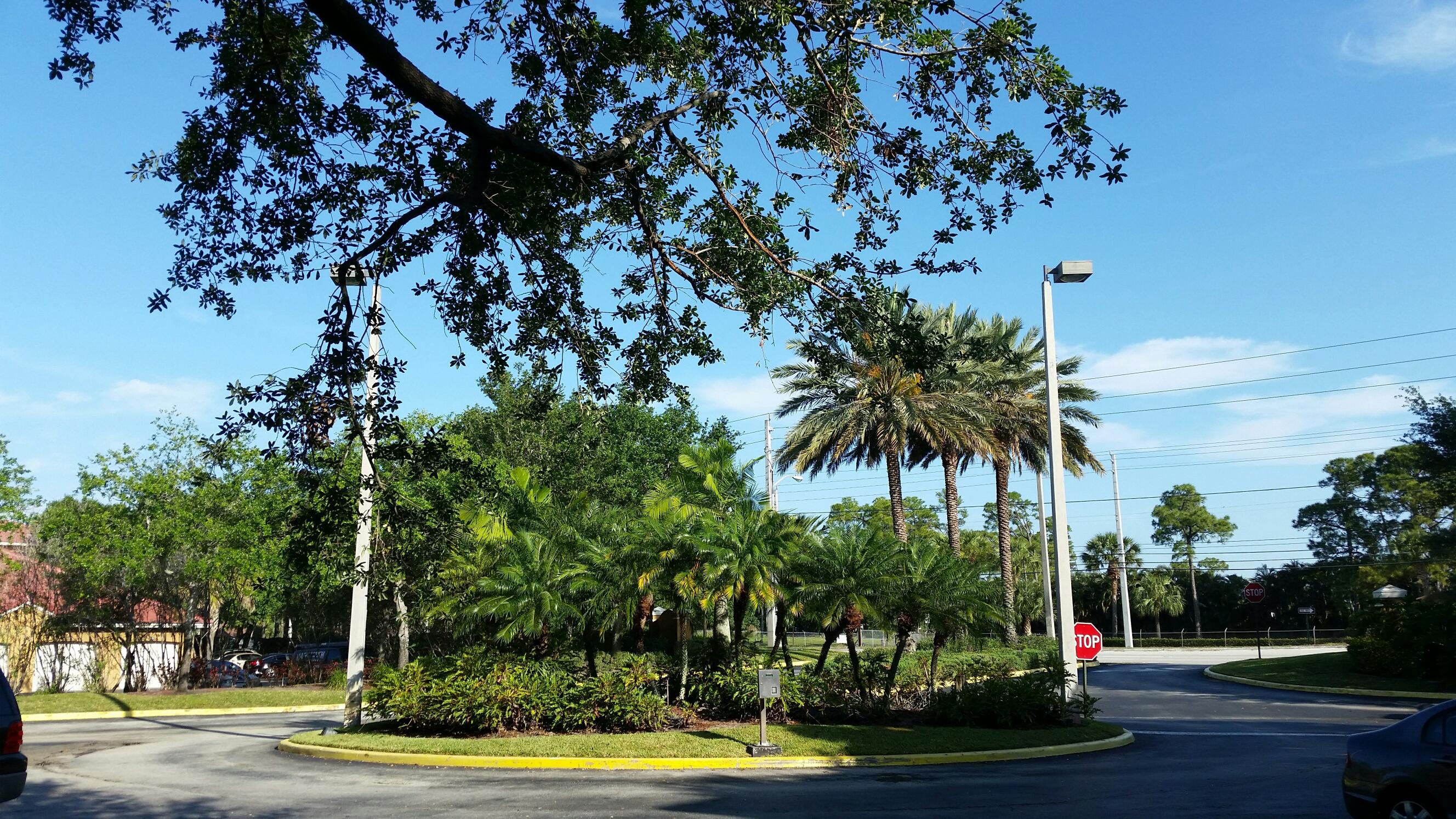 5064 Lantana Road, Unit 6107 Lake Worth, FL 33463 - Photo 20 of 26 a view of a palm trees in a yard