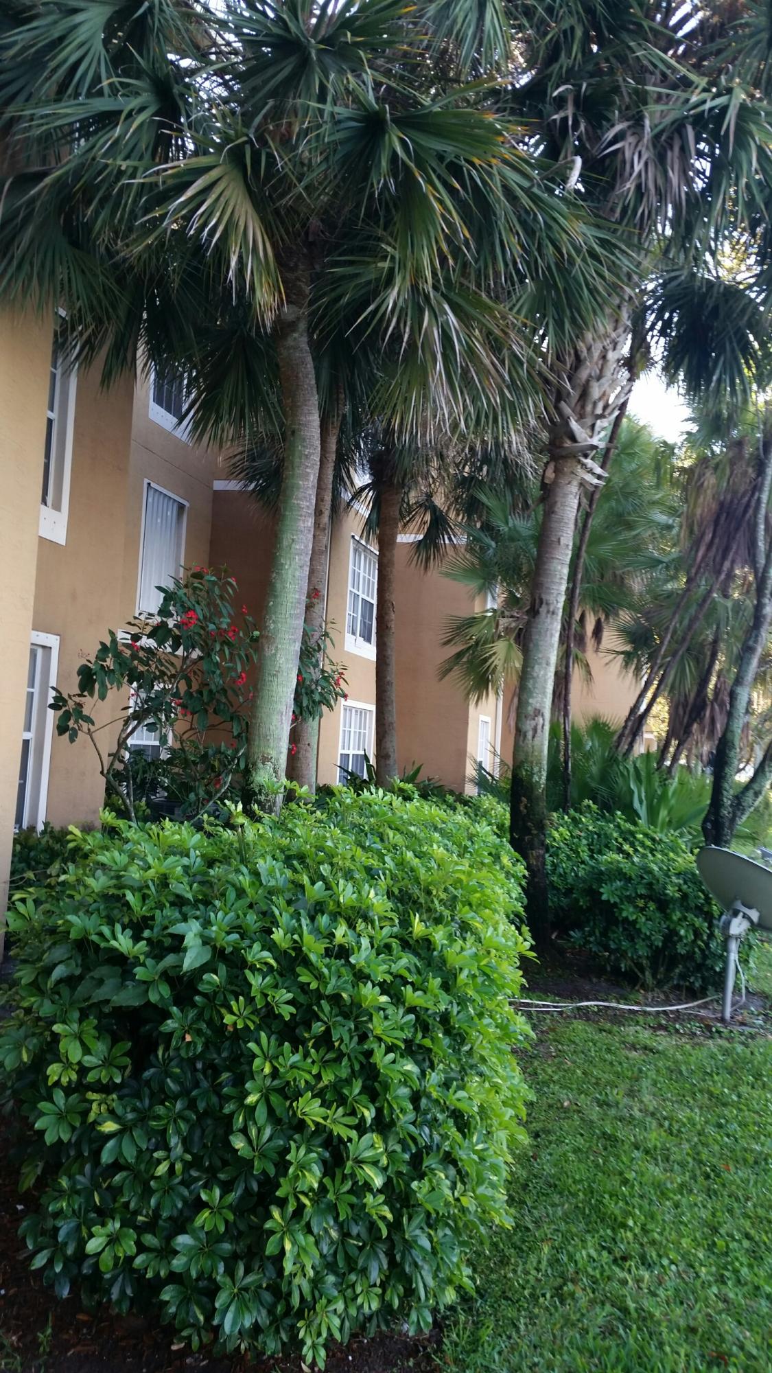 5064 Lantana Road, Unit 6107 Lake Worth, FL 33463 - Photo 22 of 26 a view of a house with a tree