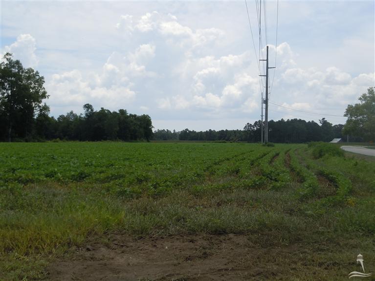 1006 Will Inman Road Tabor City, NC 28463 - Photo 2 of 4 Additional Photo