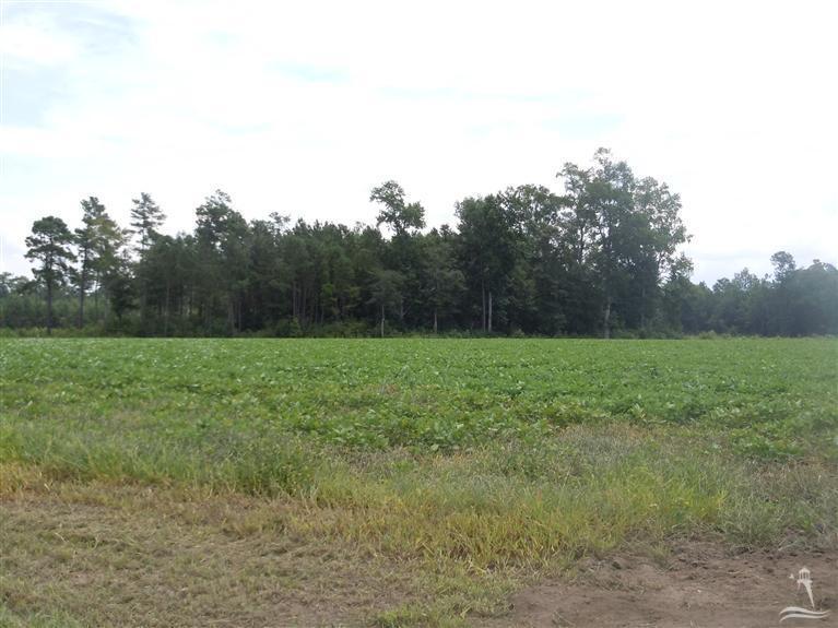 1006 Will Inman Road Tabor City, NC 28463 - Photo 3 of 4 Additional Photo