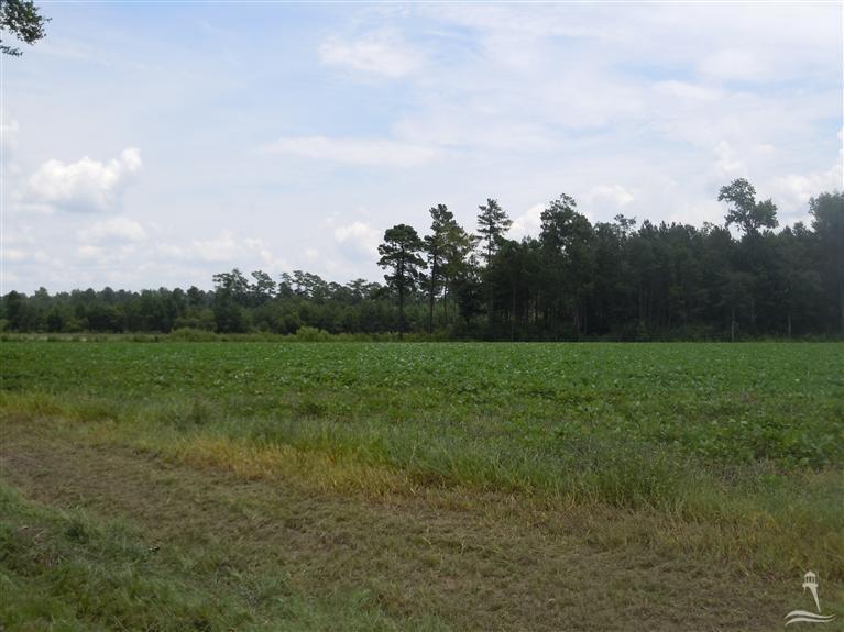 1006 Will Inman Road Tabor City, NC 28463 - Photo 4 of 4 Additional Photo