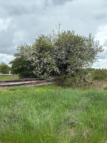 $290,000 | 324 Village Road, Smithfield, ME 04978