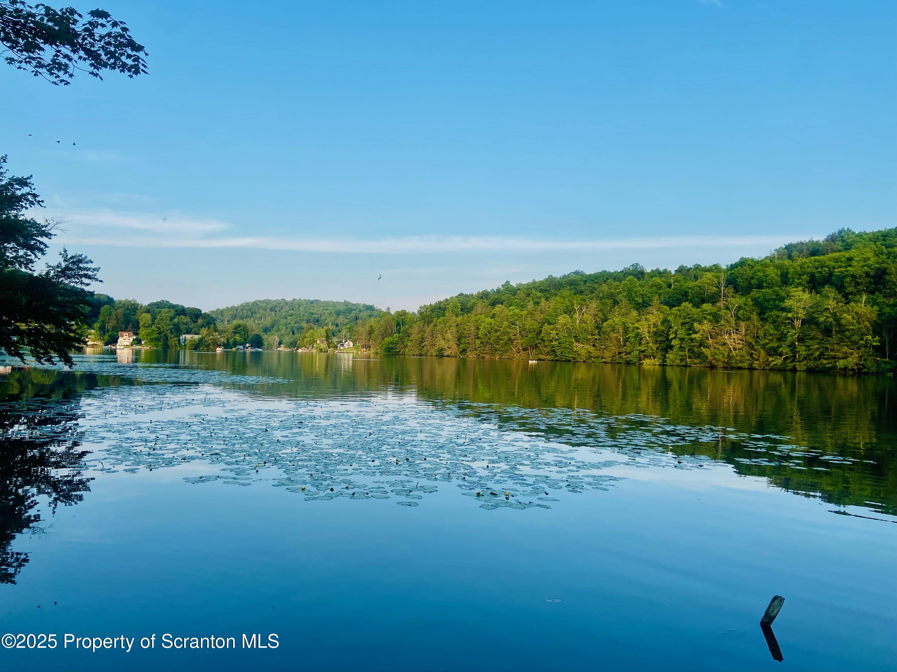 173 Pedrick Road Nicholson, PA 18446 - Photo 17 of 20 Lake