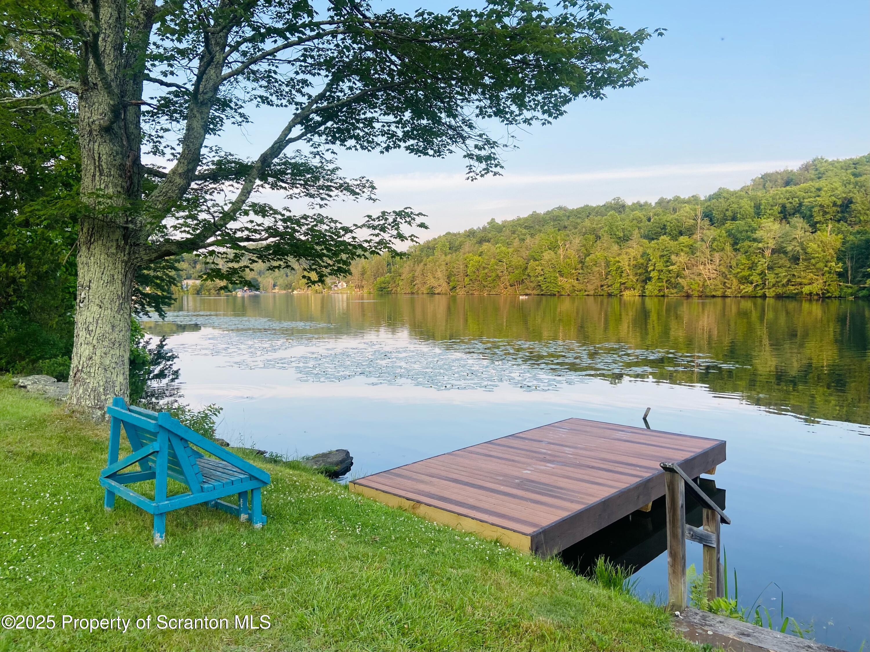 173 Pedrick Road Nicholson, PA 18446 - Photo 3 of 20 dock