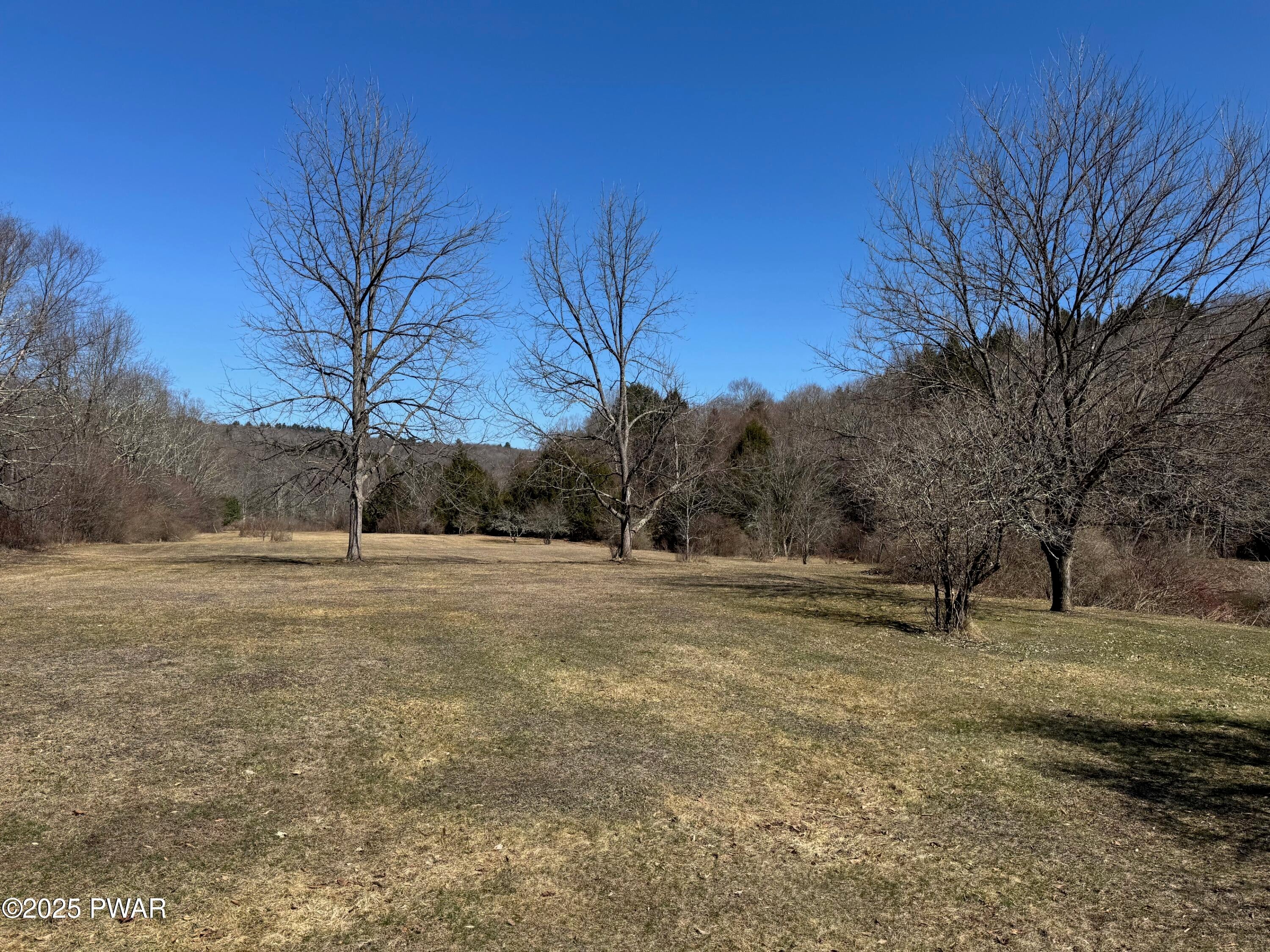 476 Braman Road Equinunk, PA 18417 - Photo 3 of 13 Land