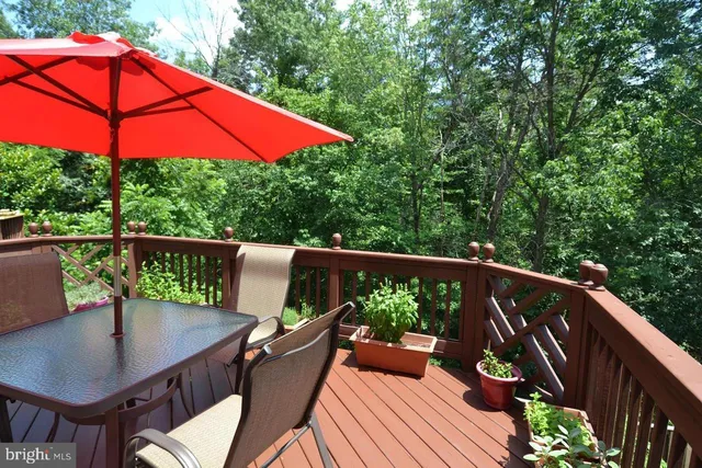 a view of a backyard with a small cabin