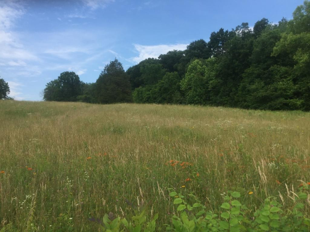 0 Rader Sidetrack Road Mosheim, TN 37818 - Photo 12 of 15 Photo 12
