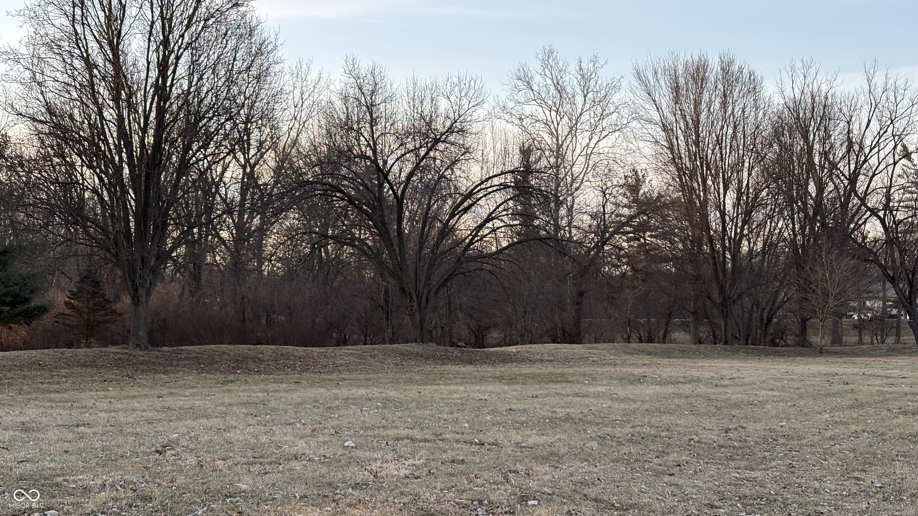 8341 Bluff Road Indianapolis, IN 46217 - Photo 9 of 10