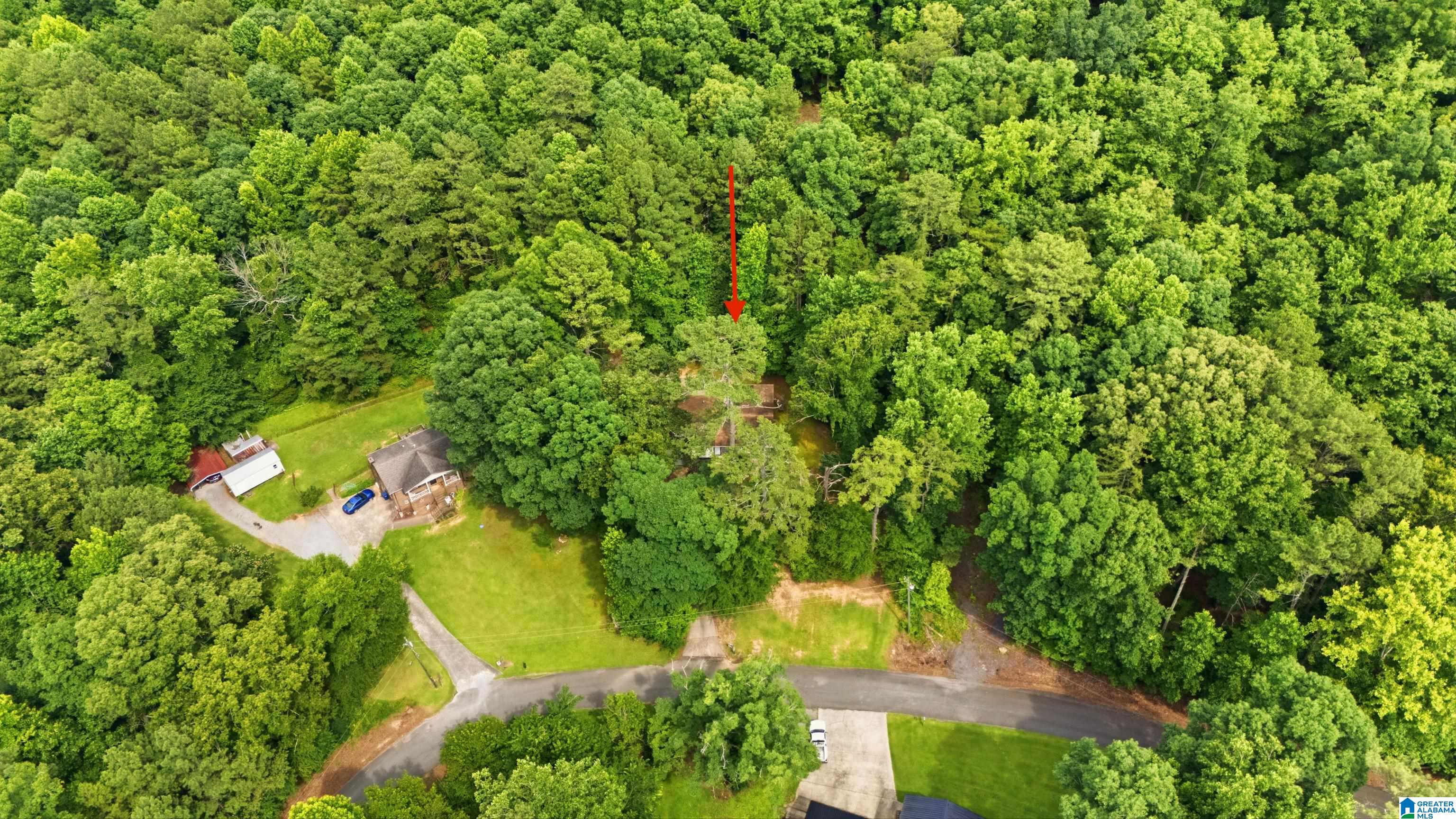 215 Oak Ridge Drive Oneonta, AL 35121 - Photo 34 of 36
