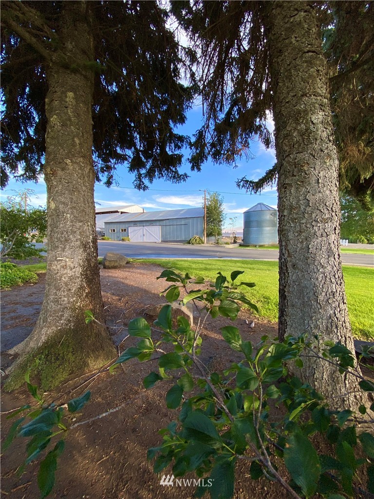 70 Ross Road Ellensburg, WA 98926 - Photo 3 of 40 Gallery Image 3