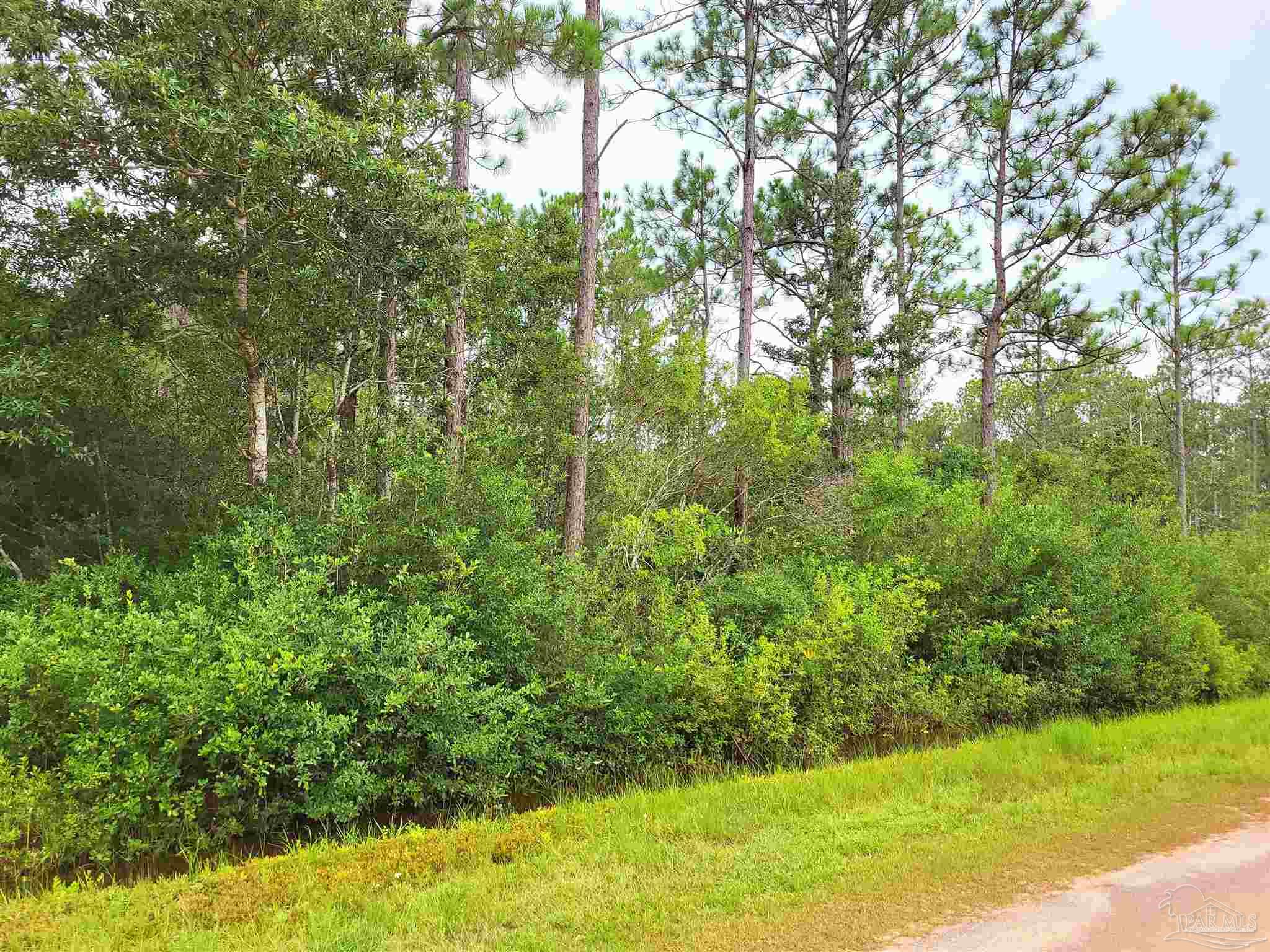 6617 Filbert Street Navarre, FL 32566 - Photo 4 of 4 Gallery Image 4