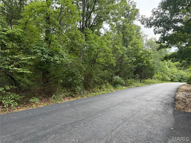 $39,900 | Lot #19 Oakwood Court, Valles Mines, MO 63087