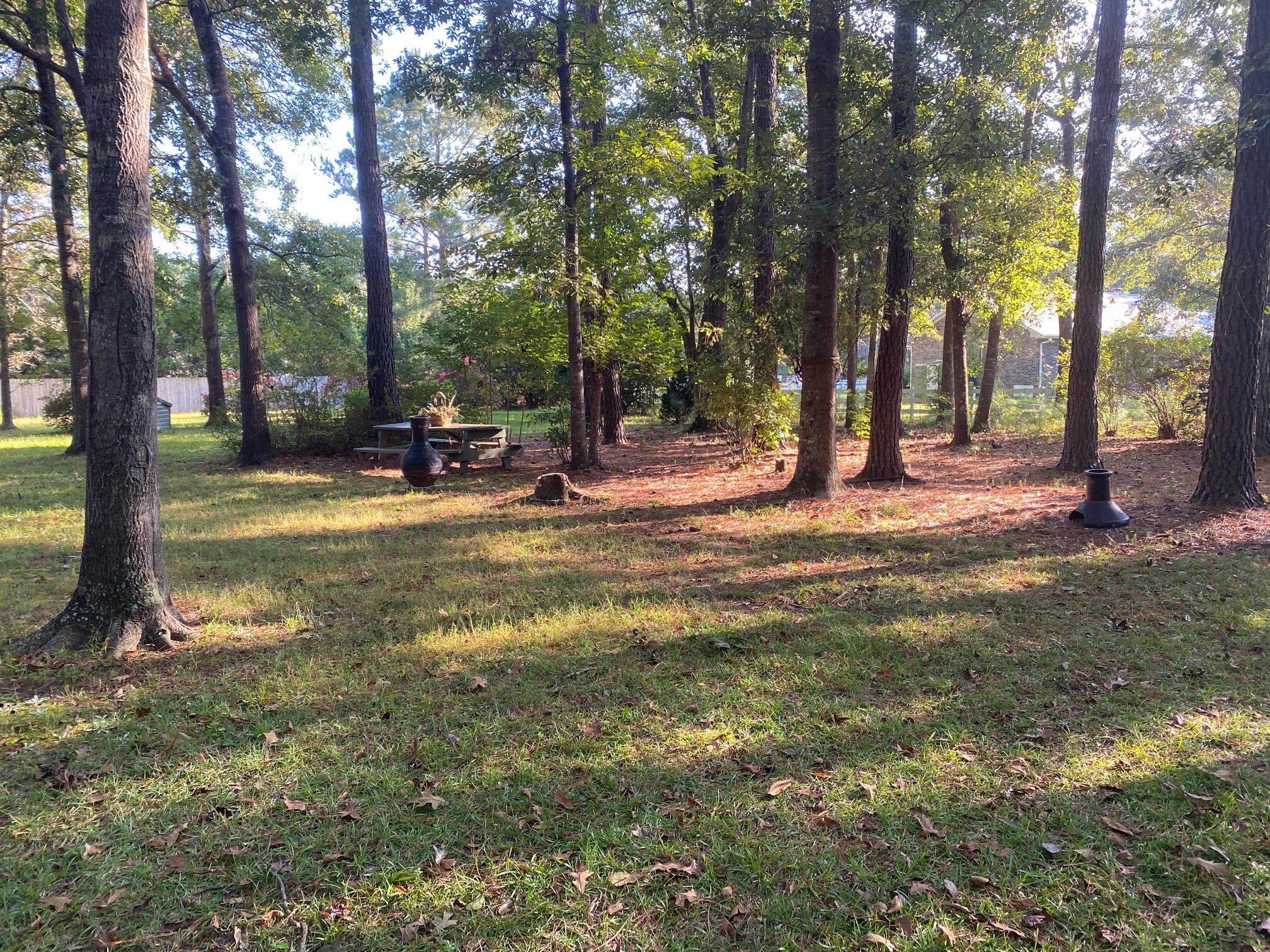 7271 George Washington Lane Awendaw, SC 29429 - Photo 2 of 24 1.25 acres