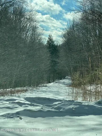 $45,000 | 22 Beech Way, Stephentown, NY 12168