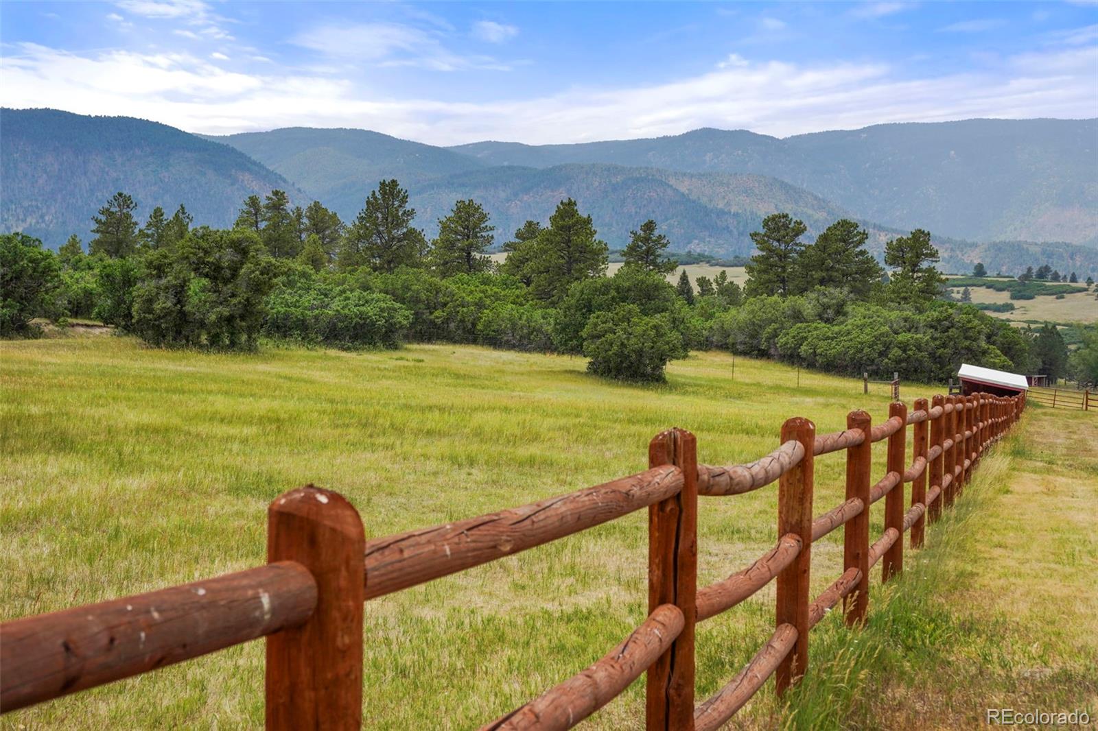 9610 South Perry Park Road Larkspur, CO 80118 - Photo 47 of 50