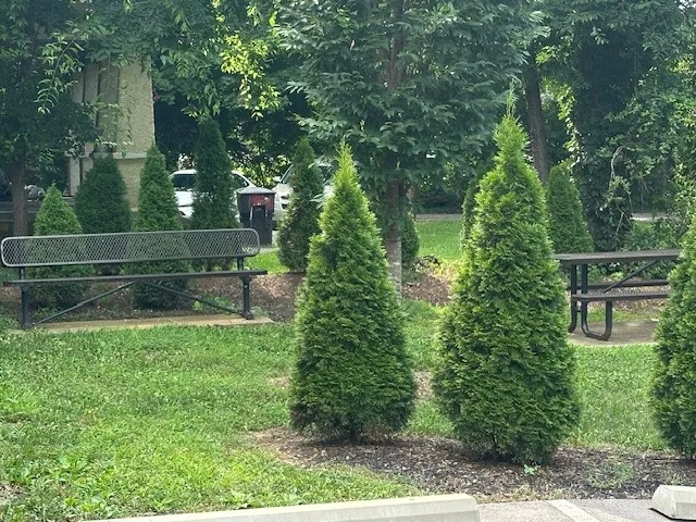 a view of a back yard