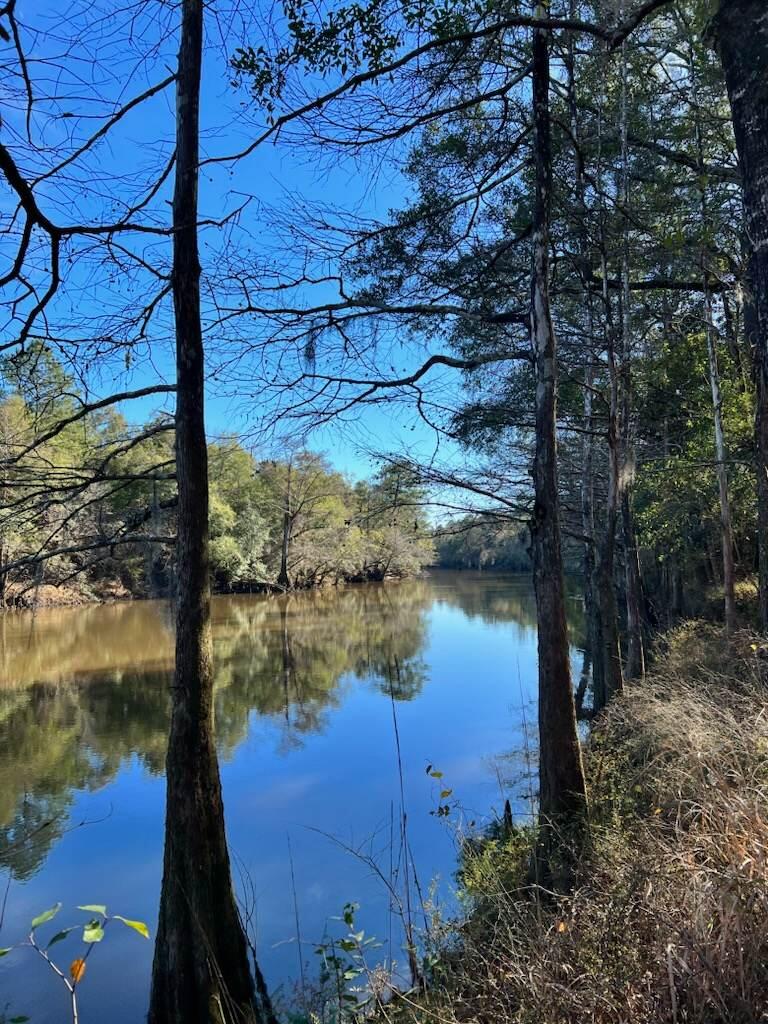 Tbd 37-ac Old River Road Baker, FL 32531 - Photo 2 of 41 a view of lake