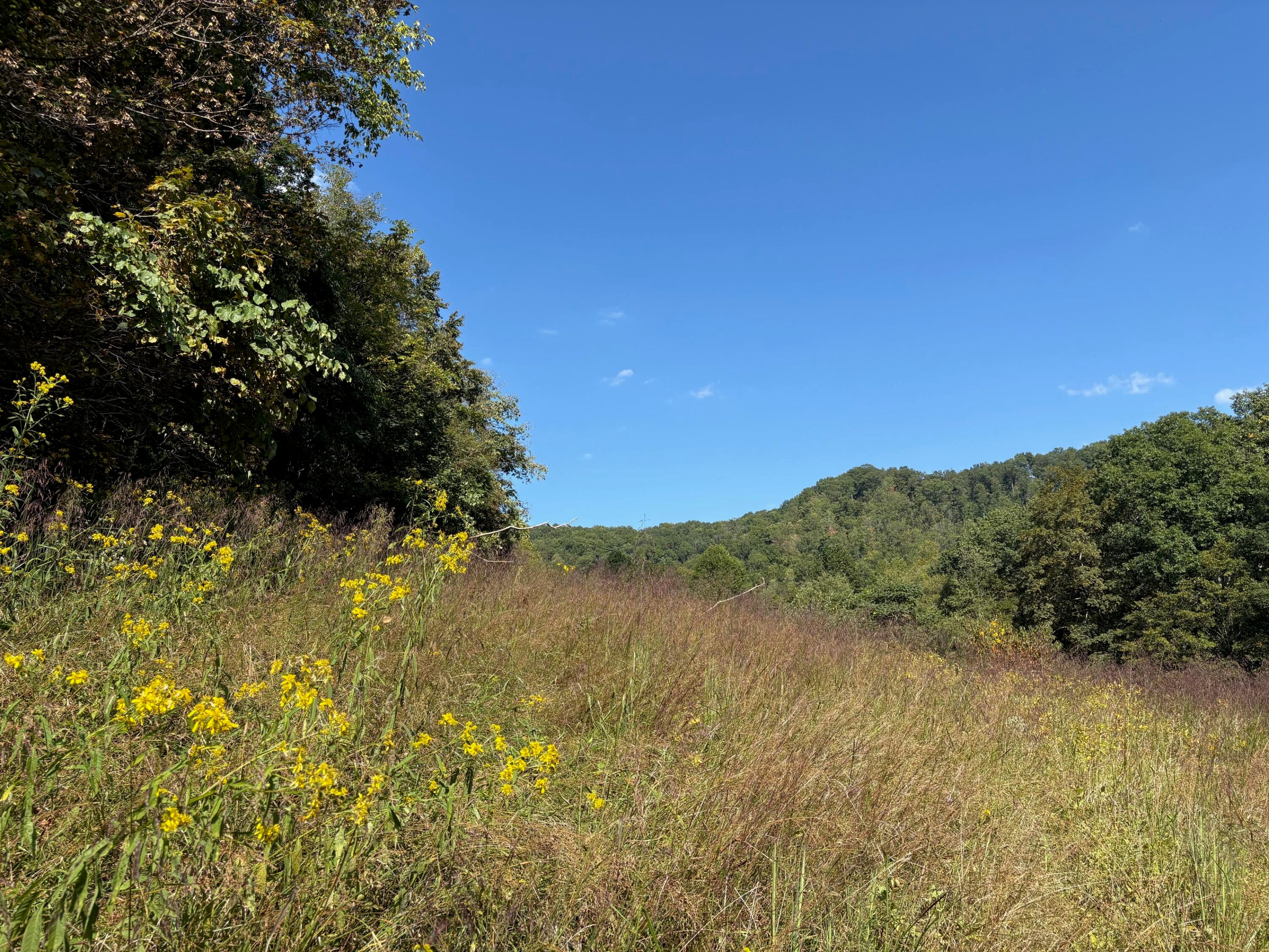 6652 Servia Road Duck, WV 25063 - Photo 9 of 69 Gallery Image 9