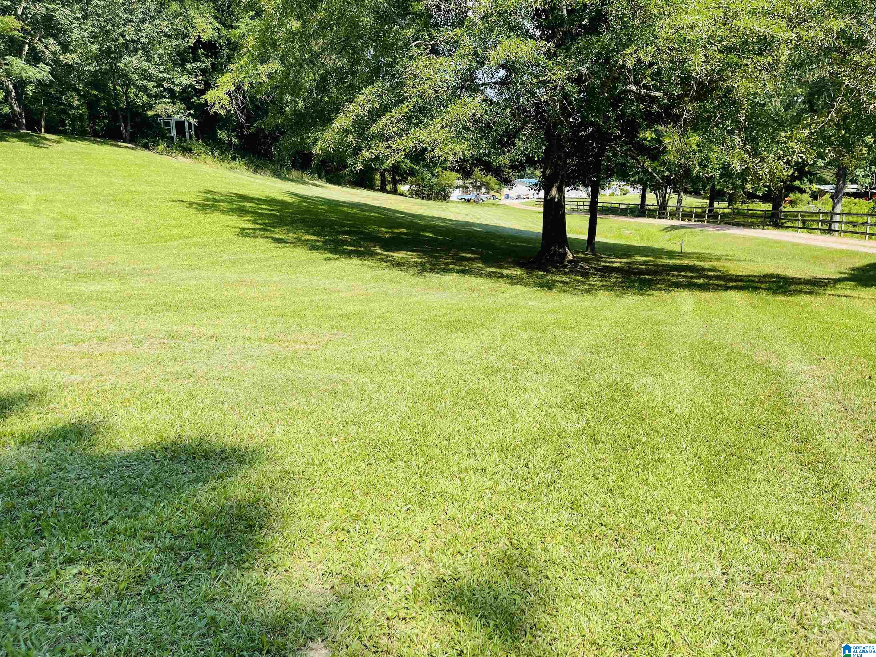 8100 Wolf Creek Road Pell City, AL 35128 - Photo 19 of 22