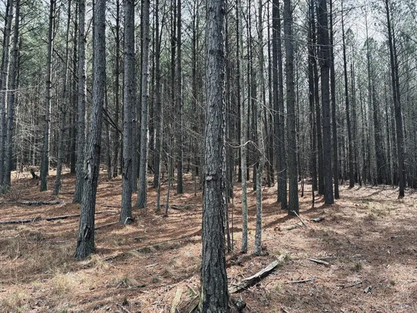 $275,000 | 215 Honeybee Court, Jasper, TN 37347