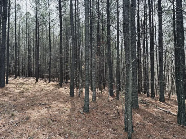 $275,000 | 215 Honeybee Court, Jasper, TN 37347