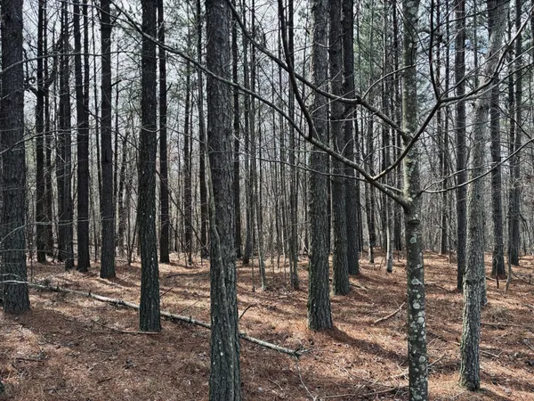 $275,000 | 215 Honeybee Court, Jasper, TN 37347