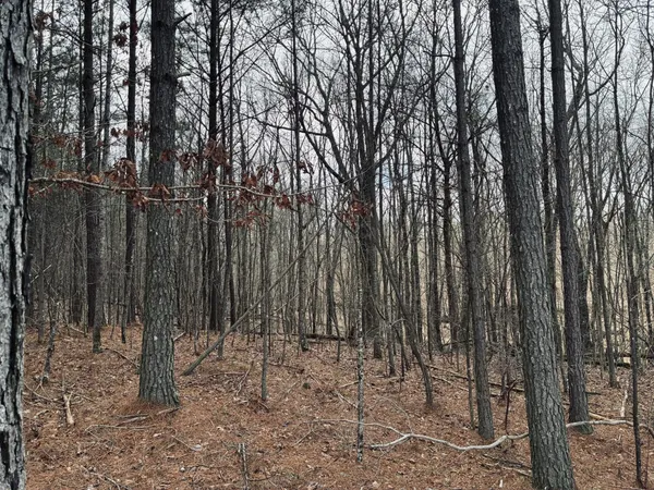 $275,000 | 215 Honeybee Court, Jasper, TN 37347