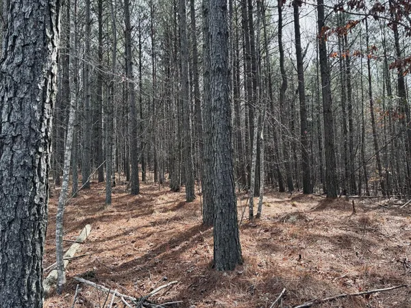 $275,000 | 215 Honeybee Court, Jasper, TN 37347