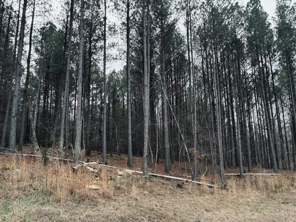 $275,000 | 215 Honeybee Court, Jasper, TN 37347