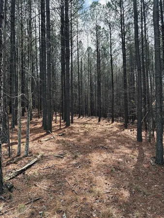 $275,000 | 215 Honeybee Court, Jasper, TN 37347