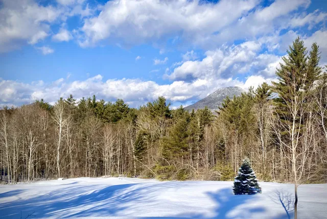 $1,100,000 | 83 Towle Road, Intervale, NH 03845