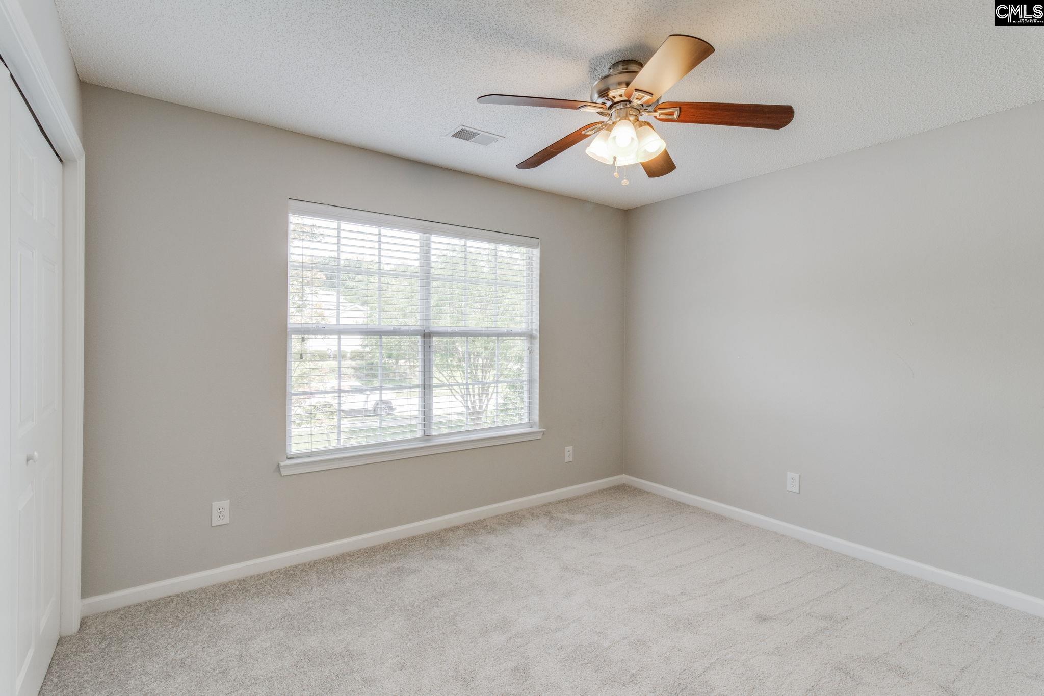 5 Redbrush Court Chapin, SC 29036 - Photo 44 of 62