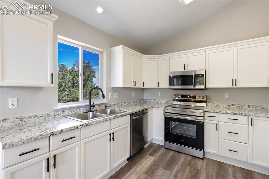 18 Mt Powderhorn Road Florissant, CO 80816 - Photo 15 of 38