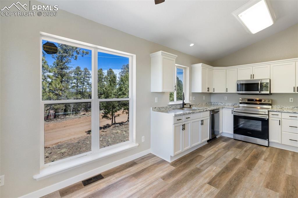 18 Mt Powderhorn Road Florissant, CO 80816 - Photo 17 of 38