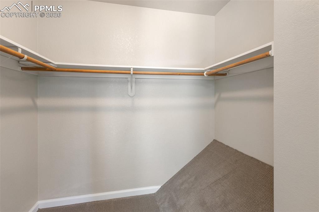 18 Mt Powderhorn Road Florissant, CO 80816 - Photo 23 of 38