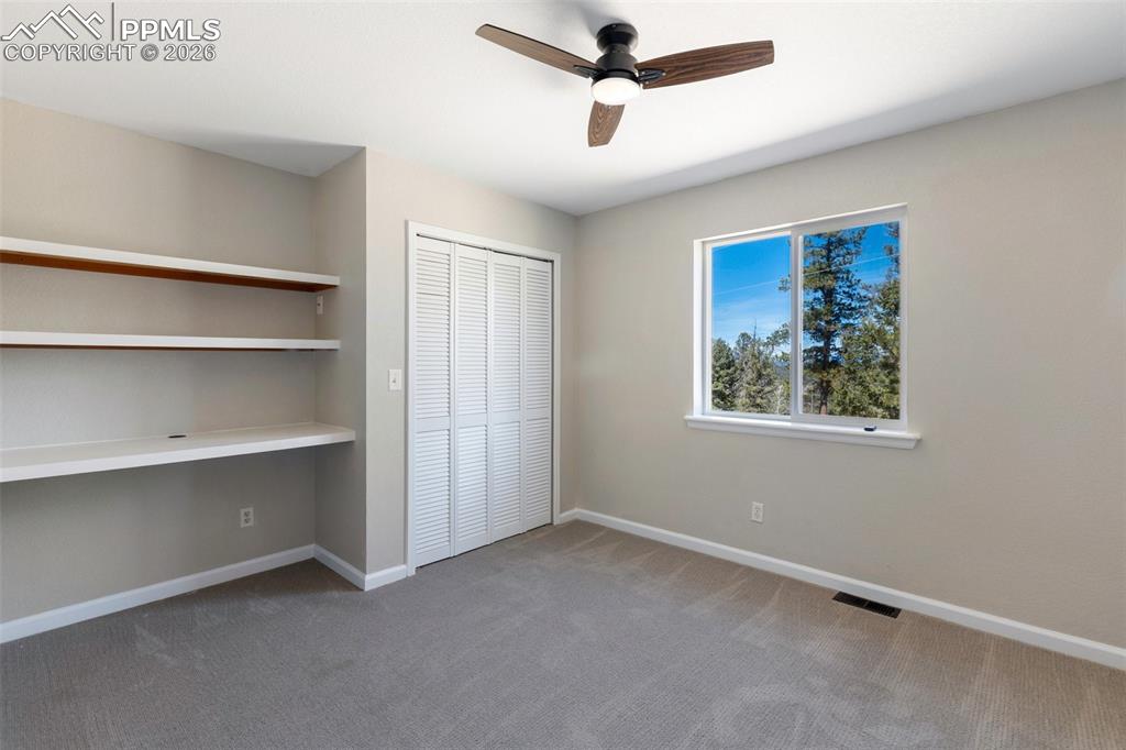 18 Mt Powderhorn Road Florissant, CO 80816 - Photo 24 of 38