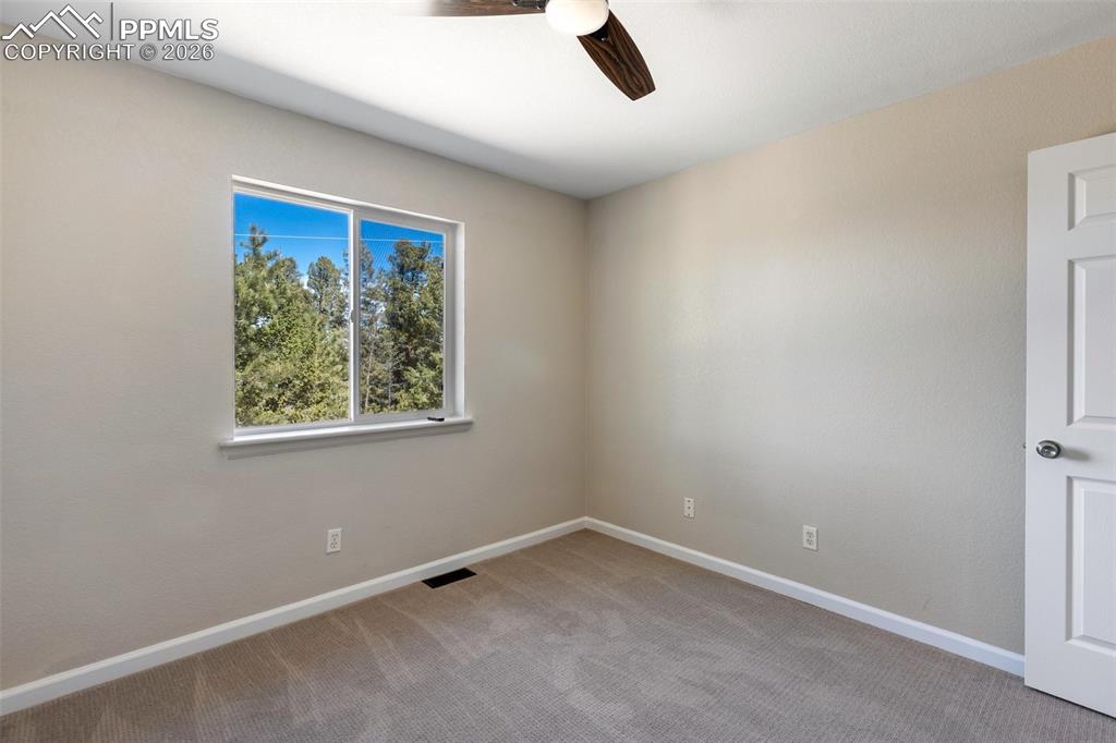 18 Mt Powderhorn Road Florissant, CO 80816 - Photo 25 of 38