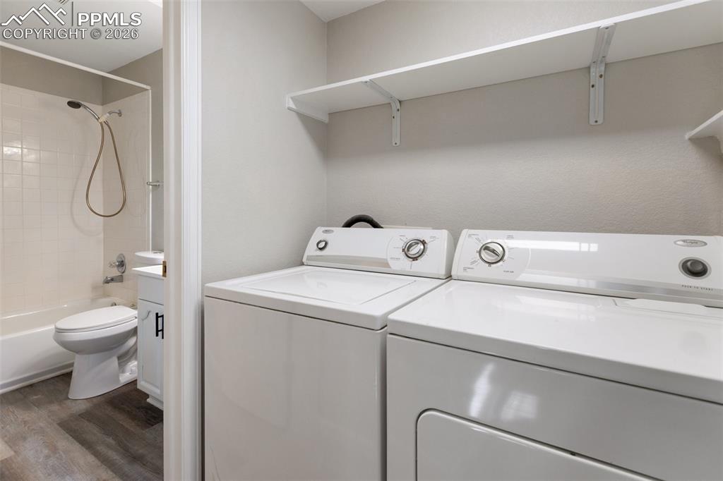 18 Mt Powderhorn Road Florissant, CO 80816 - Photo 27 of 38